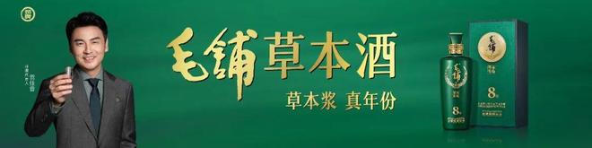 犁桥水镇拟入选连续四起肇事逃逸案被侦破！冰球突破豪华版【铜陵头条1212】铜陵(图2)
