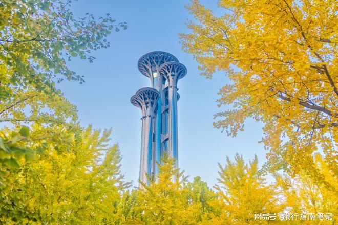 玩古都风韵邂逅三位口碑导游的匠心之旅冰球突破技巧北京自驾游导游推荐：畅(图4)