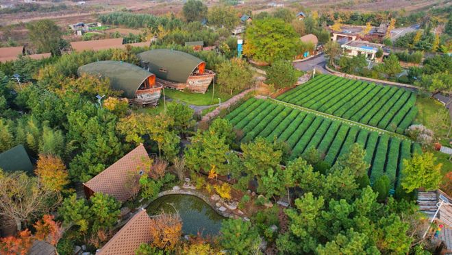 季一房难求！日照这里太火爆了！冰球突破技巧1800余家！旺(图5)